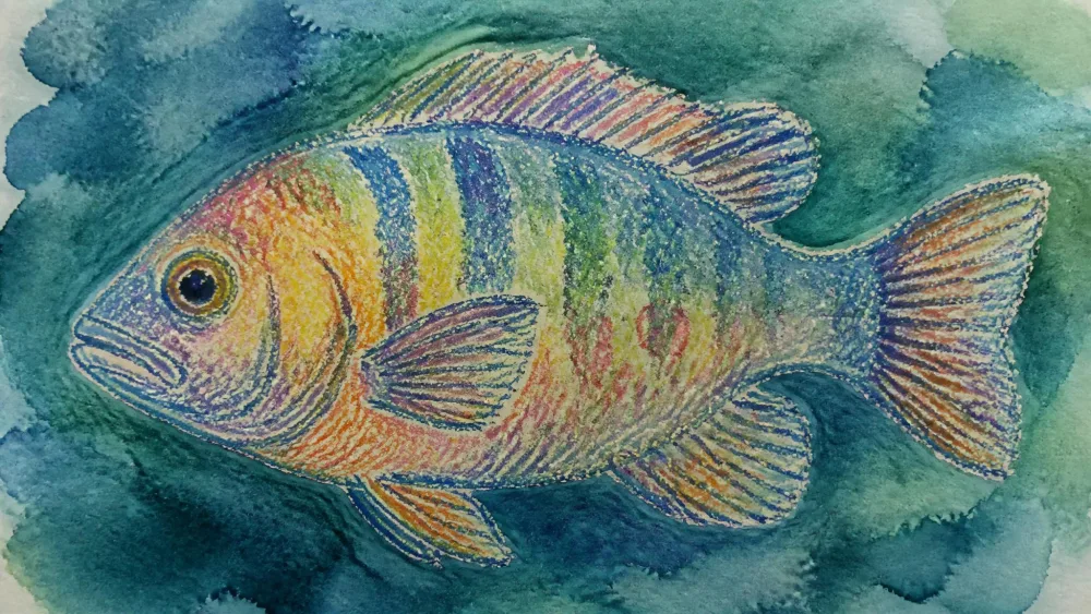 Oil-pastel fish revealed under a blue-green watercolor wash.