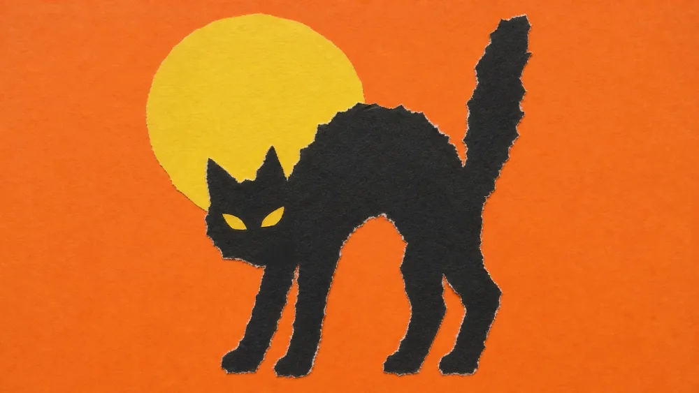 A torn black construction paper cat silhouette with an arched back and pointy ears glued onto orange paper, with a yellow paper moon behind it.