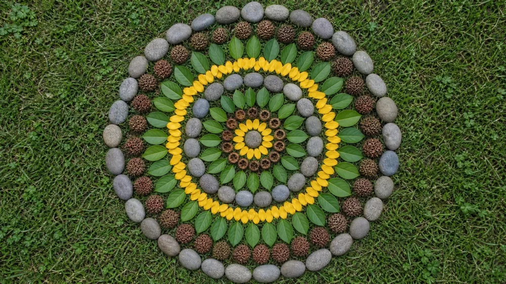 A circular nature mandala laid out on grass using concentric rings of stones, yellow petals, green leaves, and seed pods.